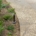 Waterscapes publishes irrigation troubleshooting guide