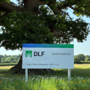 DLF shine a spotlight on sustainable seed solutions at GroundsFest