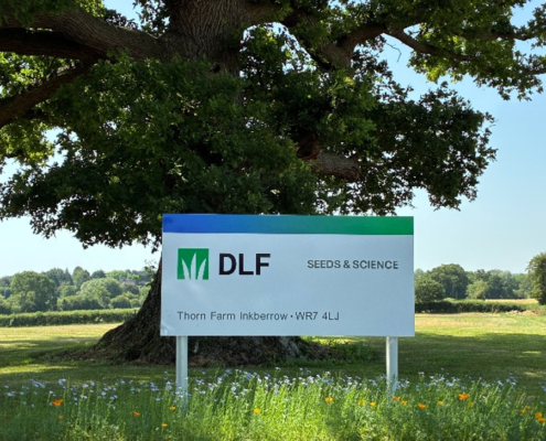 DLF shine a spotlight on sustainable seed solutions at GroundsFest
