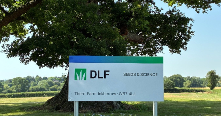 DLF shine a spotlight on sustainable seed solutions at GroundsFest