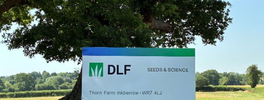 DLF shine a spotlight on sustainable seed solutions at GroundsFest