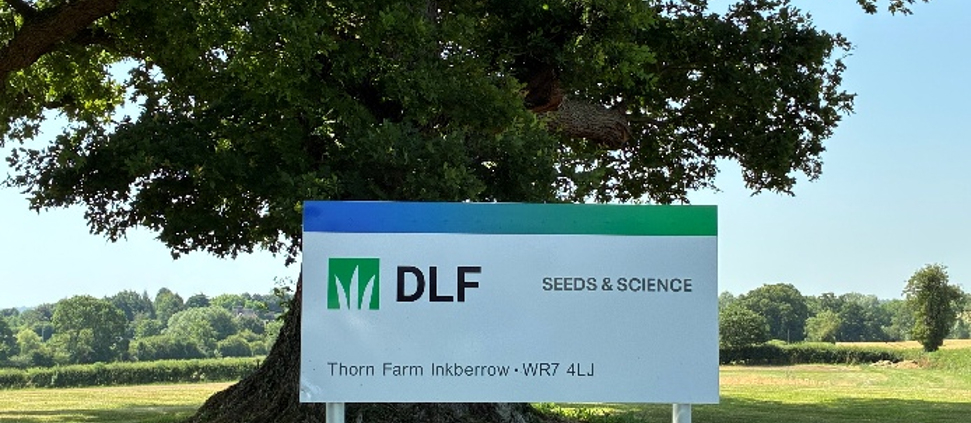 DLF shine a spotlight on sustainable seed solutions at GroundsFest