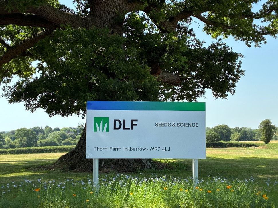 DLF shine a spotlight on sustainable seed solutions at GroundsFest