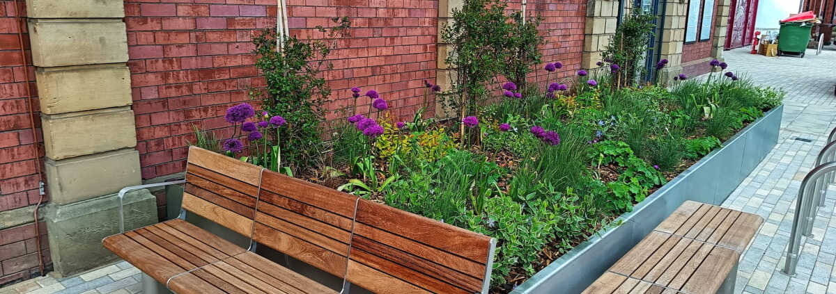 Green-Tech supports DTMS with sustainable landscape solutions
