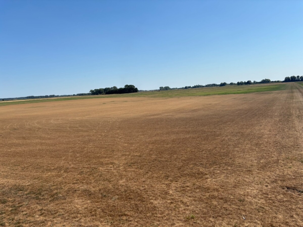 UK turf industry at ‘defining moment’ UK turf industry at ‘defining moment’