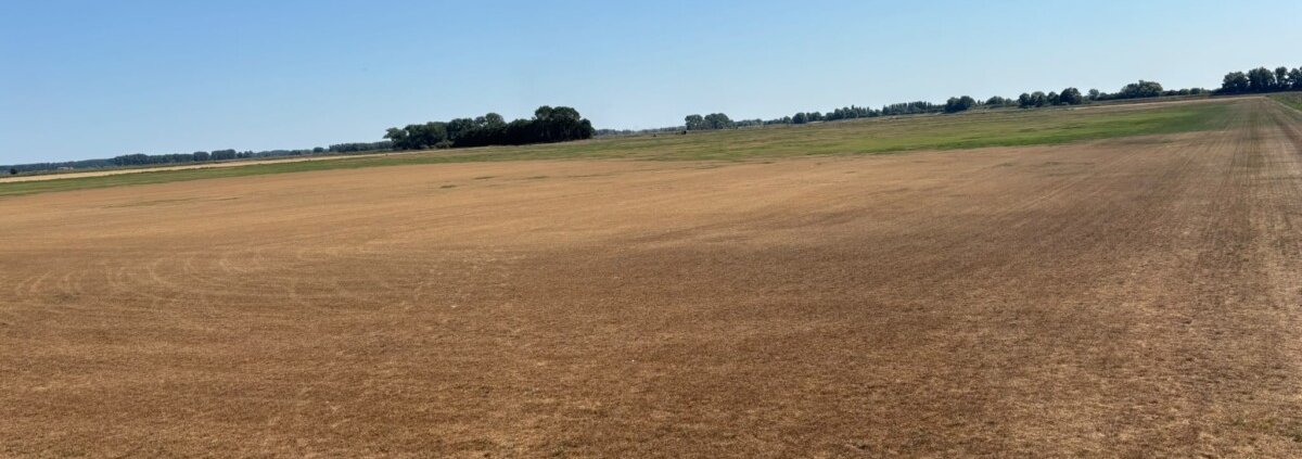 UK turf industry at ‘defining moment’