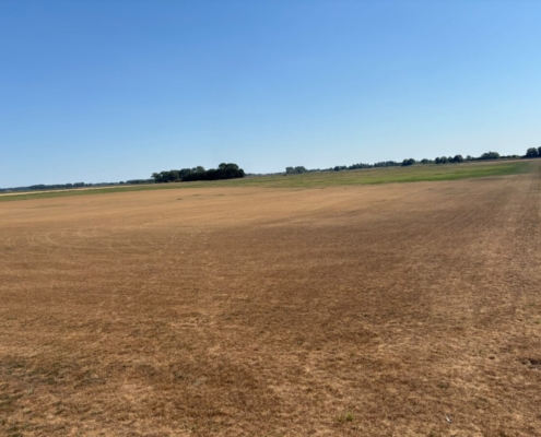 UK turf industry at ‘defining moment’