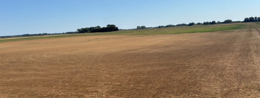 UK turf industry at ‘defining moment’