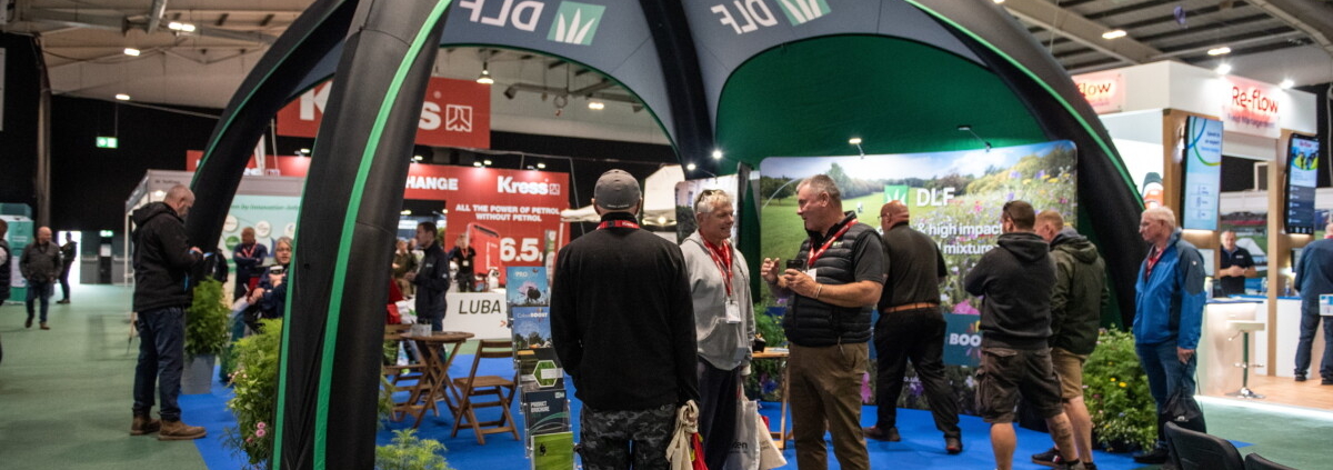 MM Seed at the DLF Stand at GroundsFest