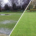 Terrain Aeration celebrates 50 years