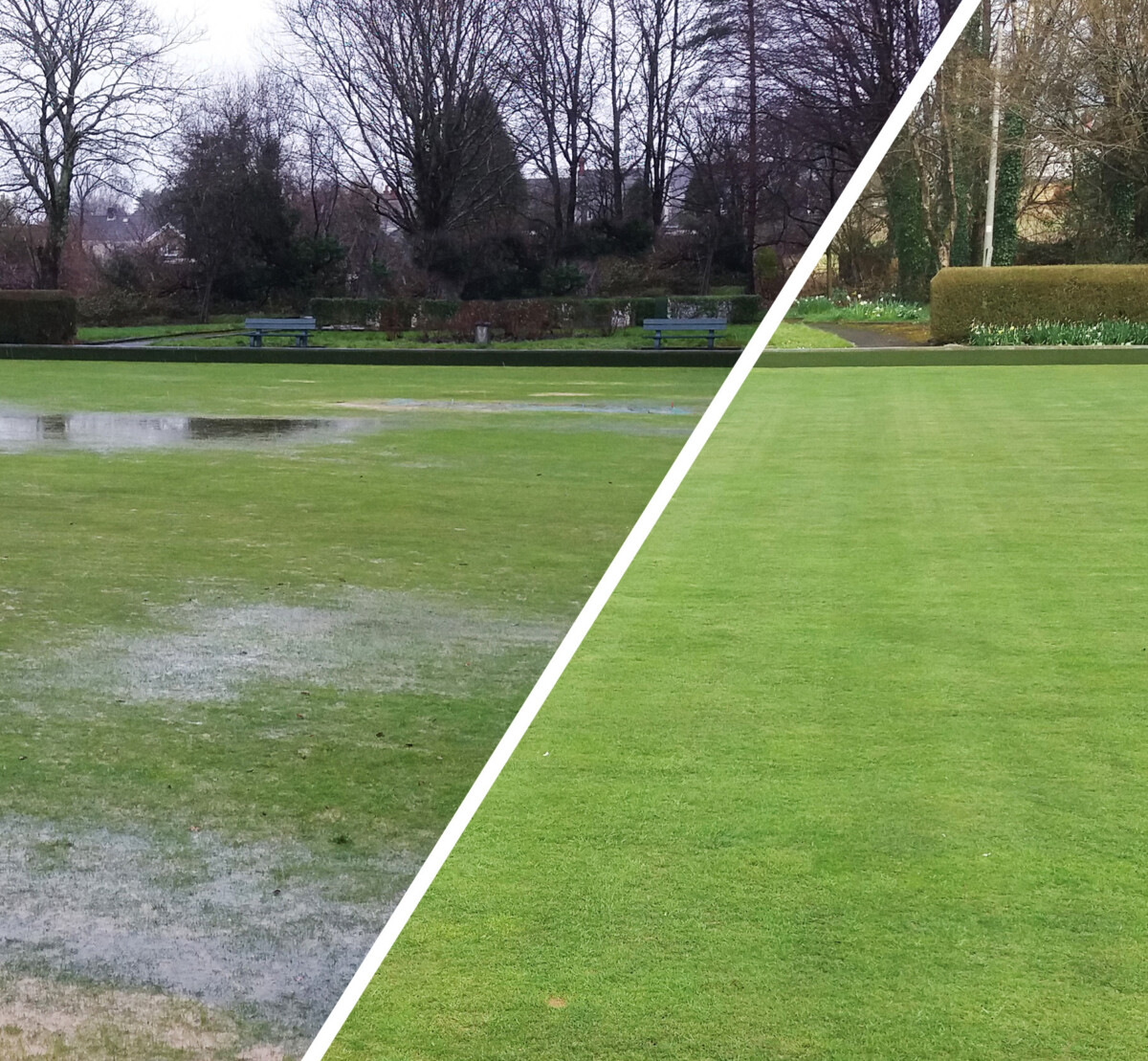 Terrain Aeration celebrates 50 years