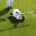 Improve nutrient management in elite turf nutrition