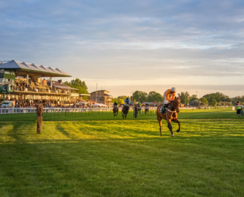 Keeping Warwick Racecourse race-ready with Mansfield Sand