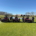 The Scandinavian Golf Club makes the switch to Baroness
