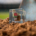 Super Exciting STIGA Prizes to Be Won at GroundsFest 2026