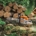 STIHL to debut ALLPRO battery system and new chainsaw designs at 2026 APF