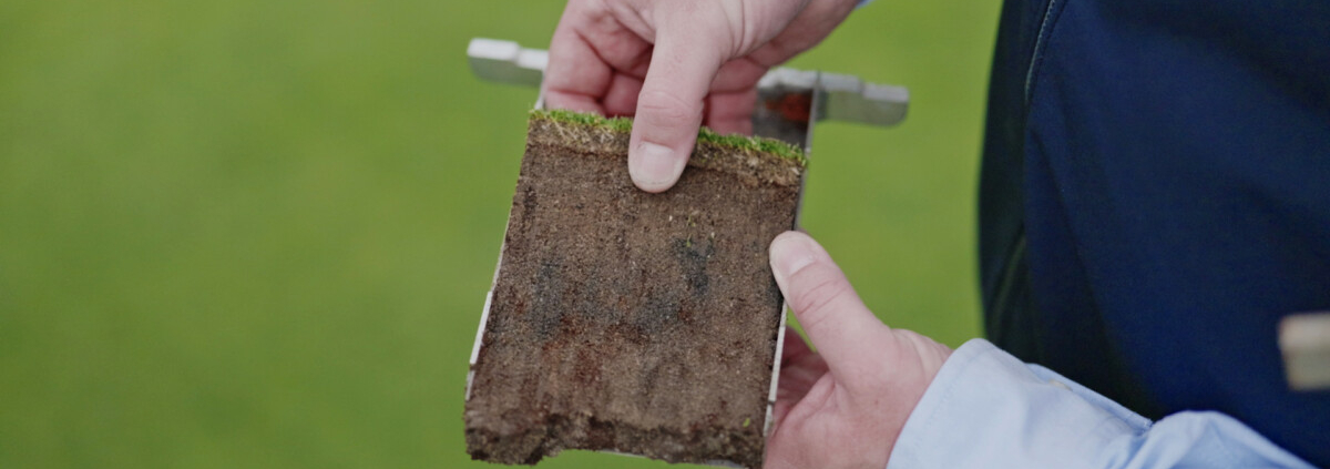ThatchEater provides a biological solution for better winter greens
