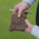 ThatchEater provides a biological solution for better winter greens