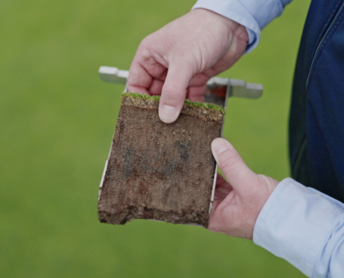 ThatchEater provides a biological solution for better winter greens