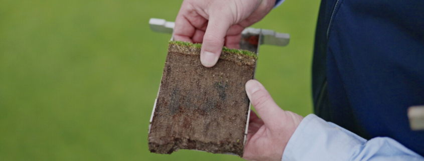 ThatchEater provides a biological solution for better winter greens