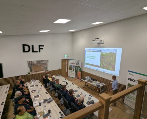 GroundsFest Academy continues to deliver as DLF wildflower event inspires