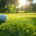New Saralis Bio enters sports turf market with science-led biological solutions