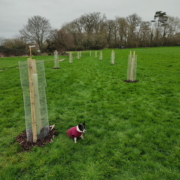 Origin Green-Tech supports Dilton Marsh Village orchard project