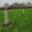 Origin Green-Tech supports Dilton Marsh Village orchard project