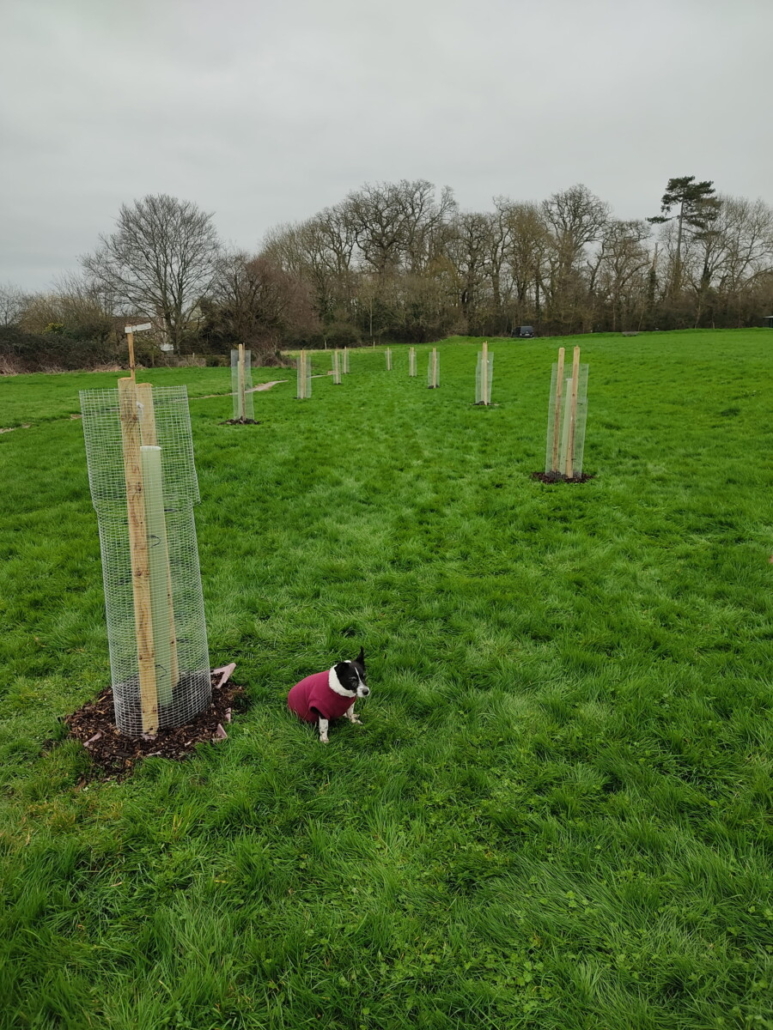 Origin Green-Tech supports Dilton Marsh Village orchard project Origin Green-Tech supports Dilton Marsh Village orchard project