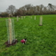 Origin Green-Tech supports Dilton Marsh Village orchard project