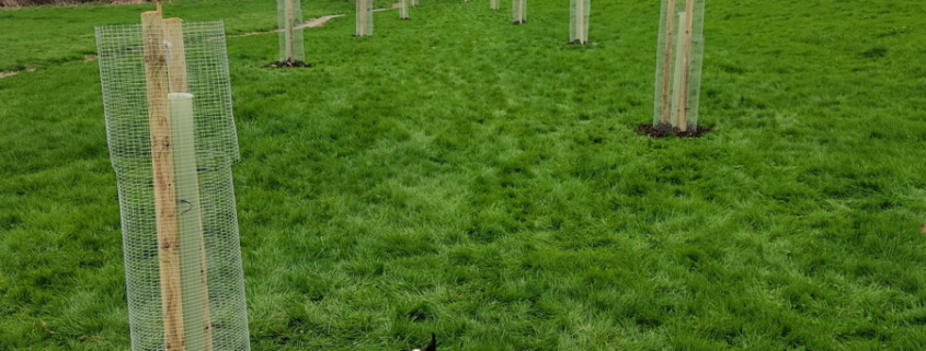 Origin Green-Tech supports Dilton Marsh Village orchard project