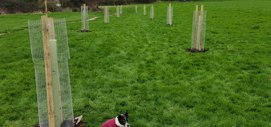 Origin Green-Tech supports Dilton Marsh Village orchard project