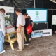 IPM Showcase gets people talking at GroundsFest