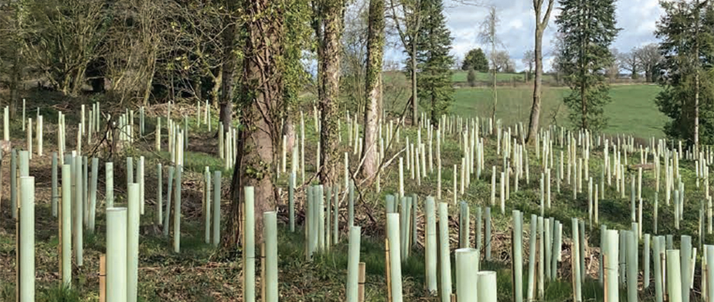 Origin Green-Tech and BHT bring complete forestry solutions to APF