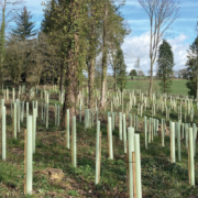 Origin Green-Tech and BHT bring complete forestry solutions to APF