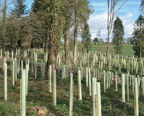 Origin Green-Tech and BHT bring complete forestry solutions to APF