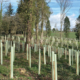 Origin Green-Tech and BHT bring complete forestry solutions to APF