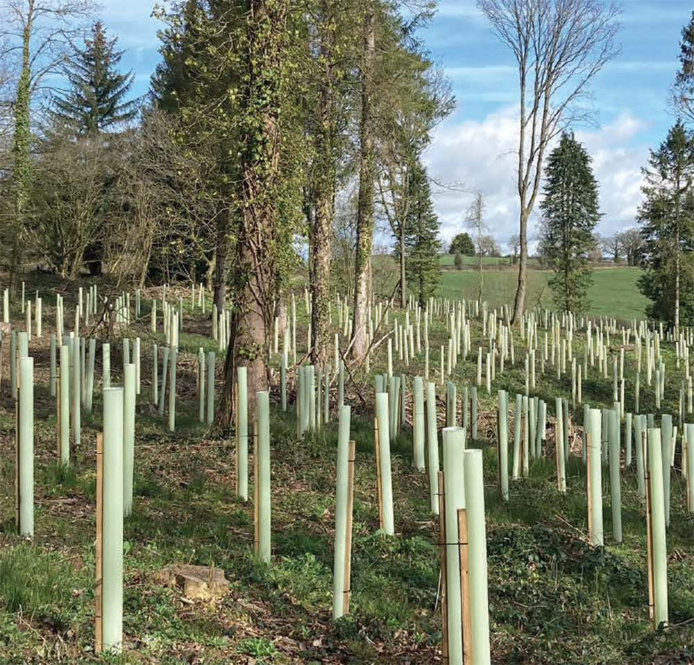 Origin Green-Tech and BHT bring complete forestry solutions to APF