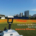 Adaptive Path Planning for Golf Ball Picking Robots