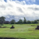 Baroness proves a cut above at Harborne Golf Club