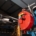 Hunter Grinders to Showcase Jupiter ATI and Amazon at SALTEX