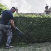 EGO’S debut single-sided pro hedge trimmer