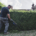 EGO’S debut single-sided pro hedge trimmer