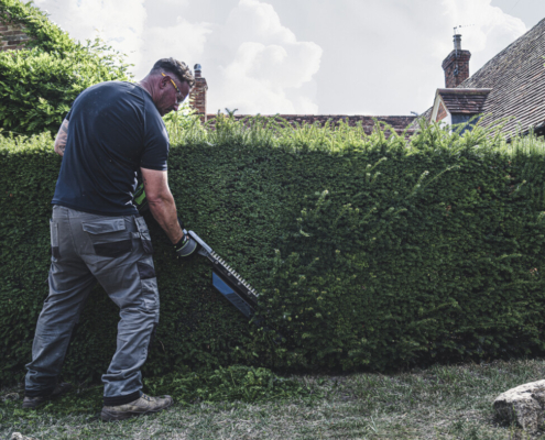 EGO’S debut single-sided pro hedge trimmer