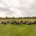 A Toro fleet that works as hard as the team and course
