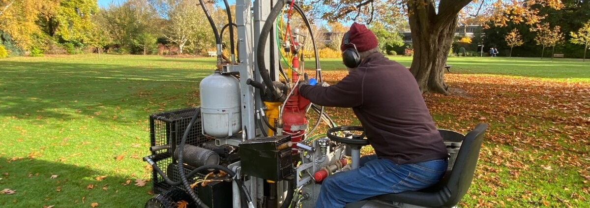 Polymer injection for healthier trees