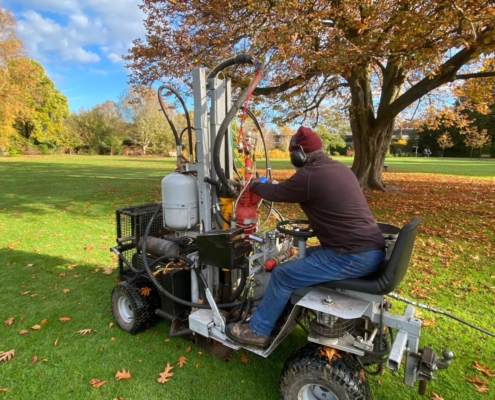 Polymer injection for healthier trees