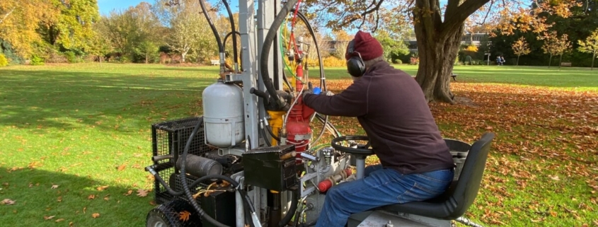 Polymer injection for healthier trees